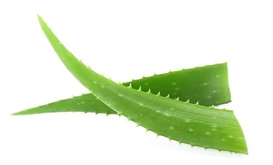 Brand Flowent  Marka sadrži aloe veru